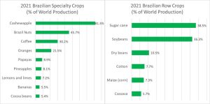 Major Brazilian crops that make up significant percentages of global productionGRAPHS BY AUTHOR BASED ON FAOSTATS DATA