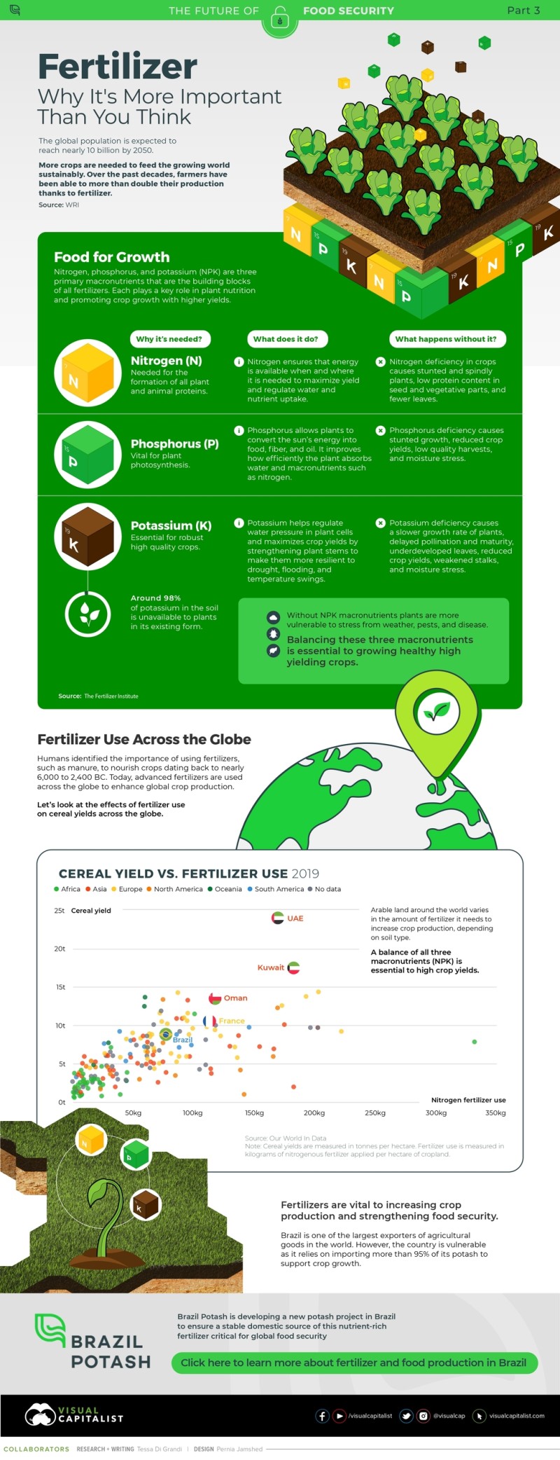 Fertilizer why it’s more important than you think Brazil Potash